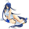 Ikkitousen DD - Unchou Kanu -DVDBOX Edition Damaged Chinese Dress Ver.- Light Blur Color Ver. [Miyazawa Models Limited Edition]　