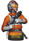 Star Wars - Mini Bust: Luke Skywalker (Snowspeeder Pilot)