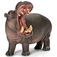 Hippopotamus