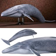 Mega Sofubi Advance MSA-004 Blue Whale