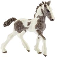 Tinker Foal