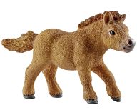 Mini Shetty Foal