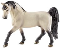 Tennessee Walker Stallion