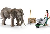 Elephant Care Set