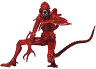 Alien - 7inch Action Figure Series 5 4Type Set