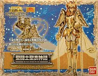 Andromeda Shun - Saint Seiya