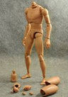 1/6 Male Doll Body (Asian/Wide Shoulder) Ver.2 (ZY-B002)