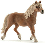 HORSE CLUB - Haflinger Stallion