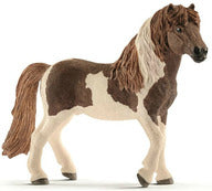 HORSE CLUB - Icelandic Pony Stallion
