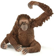 WILD LIFE - Orangutan (Female)