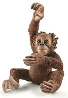 WILD LIFE - Orangutan (Baby)