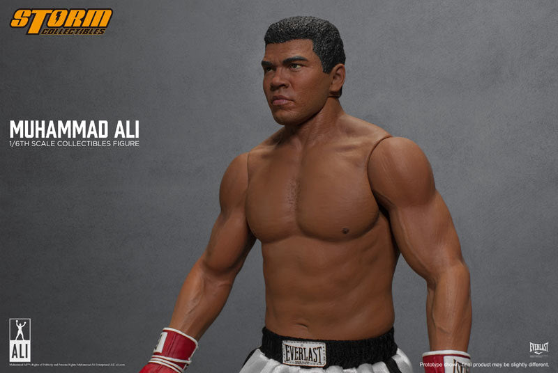 Muhammad Ali 1/6 Collectible Figure The Greatest　