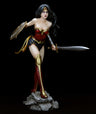 Fantasy Figure Gallery - DC Comics Collection: Wonder Woman New Earth 1/6 PVC　