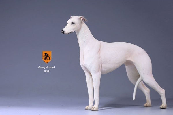 1/6 Greyhound 001　