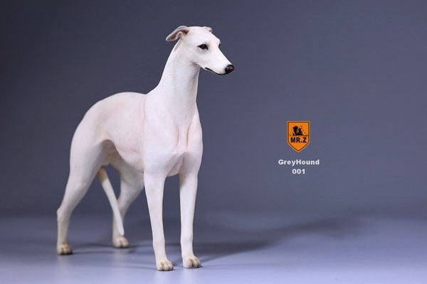 1/6 Greyhound 001　