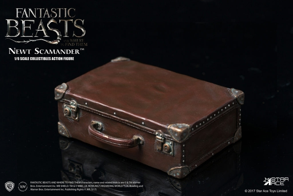 Fantastic Beasts and Where to Find Them - 1/6 - Newt Scamander