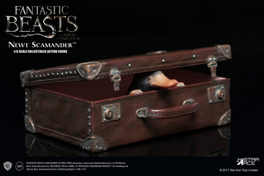 Fantastic Beasts and Where to Find Them - 1/6 - Newt Scamander - Collectible Action Figure