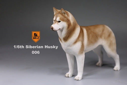 1/6 Siberian Husky 006　