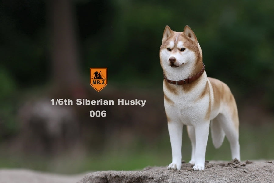 1/6 Siberian Husky 006　