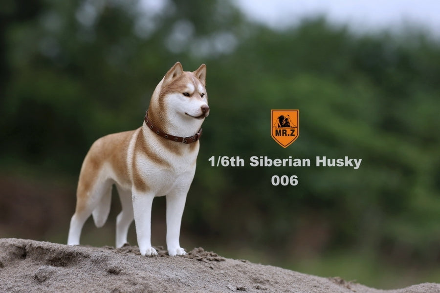 1/6 Siberian Husky 006　