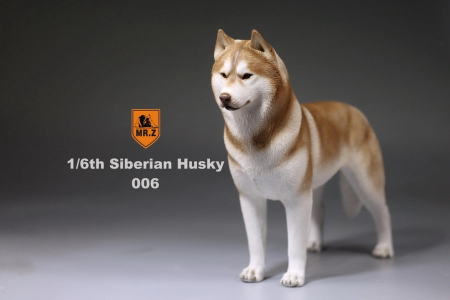 1/6 Siberian Husky 006　