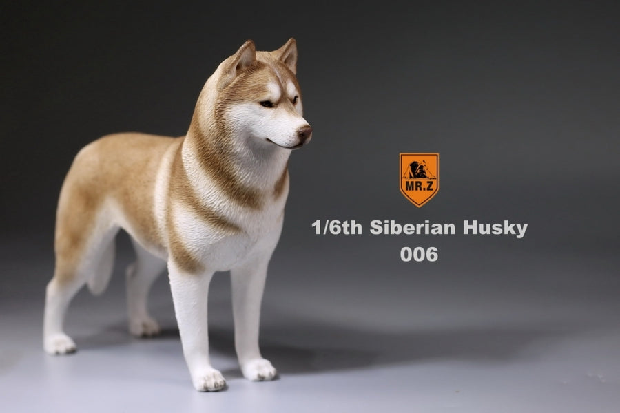 1/6 Siberian Husky 006　