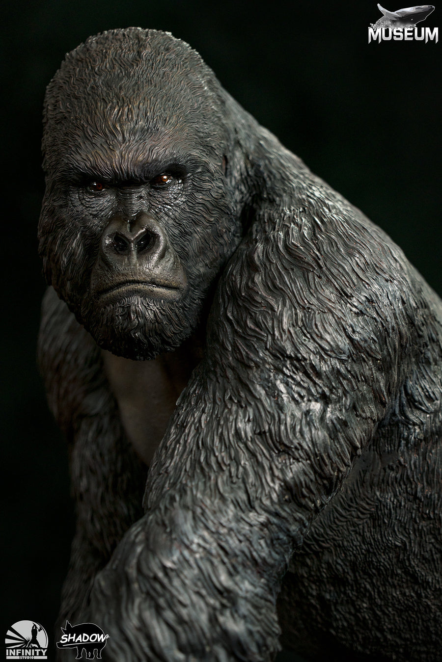 Infinity Studio Museum Series 1/4 Gorill beringei Statue