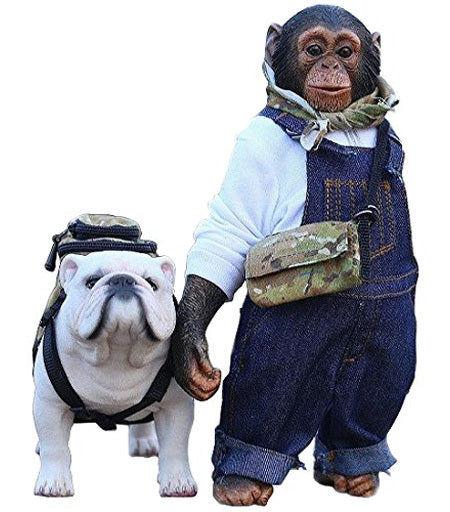 1/6 Chimpanzee & Bulldog Statue　