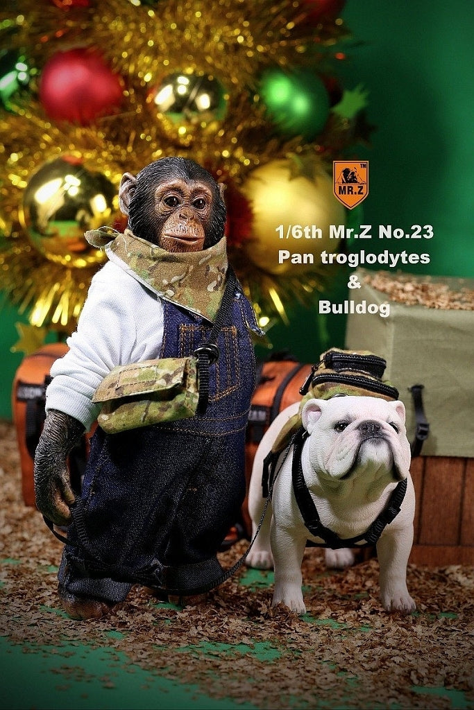 1/6 Chimpanzee & Bulldog Statue　