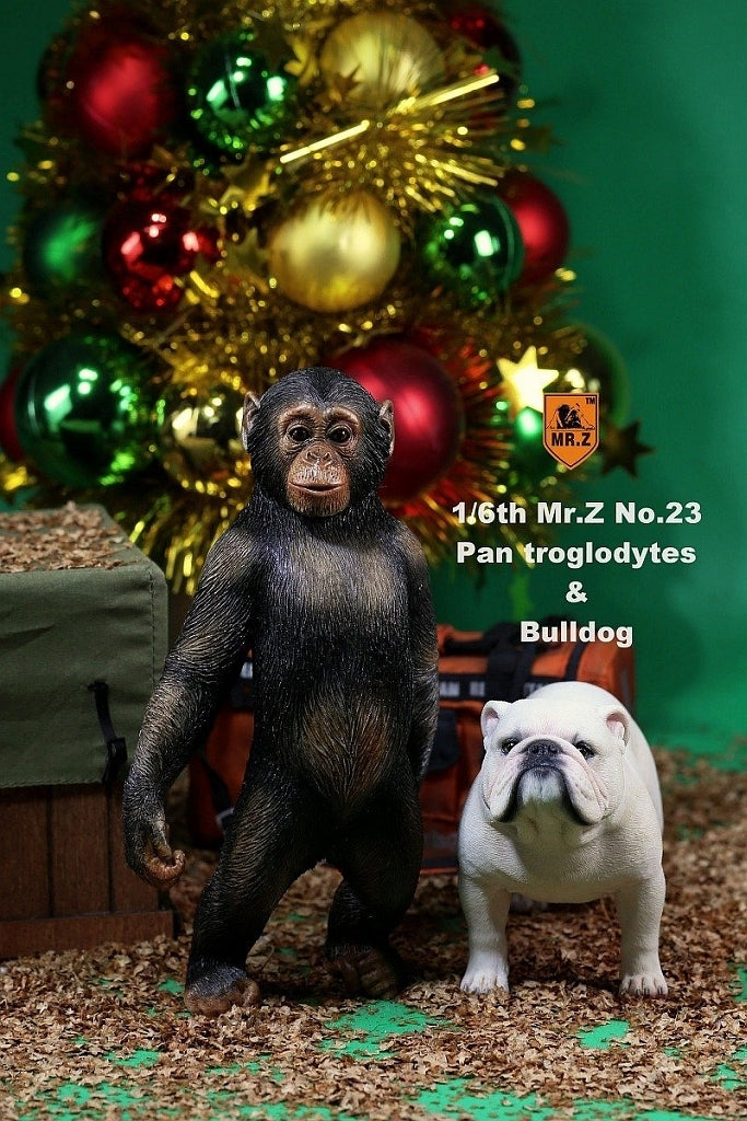 1/6 Chimpanzee & Bulldog Statue　