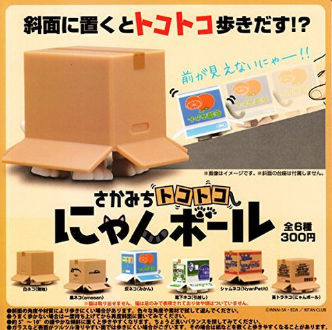 Chikamichi tokotoko nyanboard - White cat (solid color) (Kitan Club)