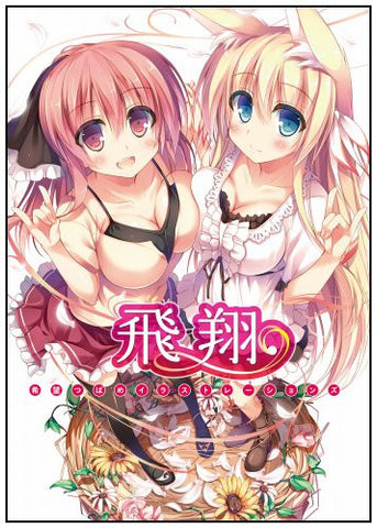 Kibo Tsubame Illustrations Hisho   Art Book