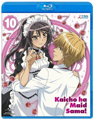 Maid Sama! 10