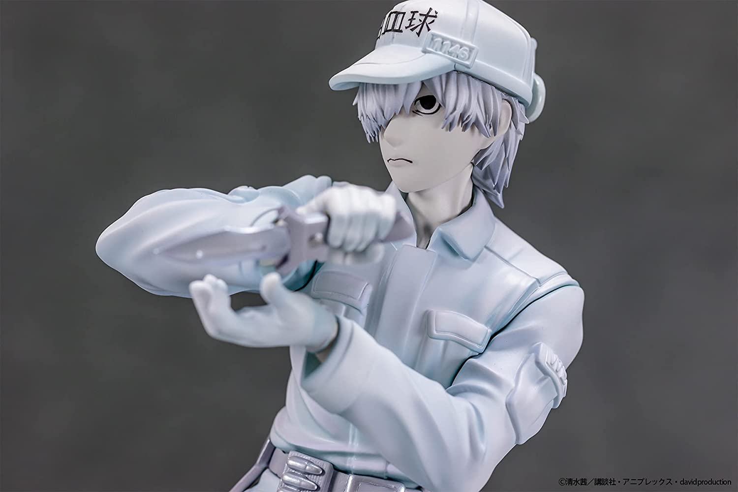 Hataraku Saibou - U-1146 (B'full) - Solaris Japan