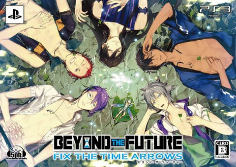 Beyond the Future Fix: The Time Arrow [Limited Edition]