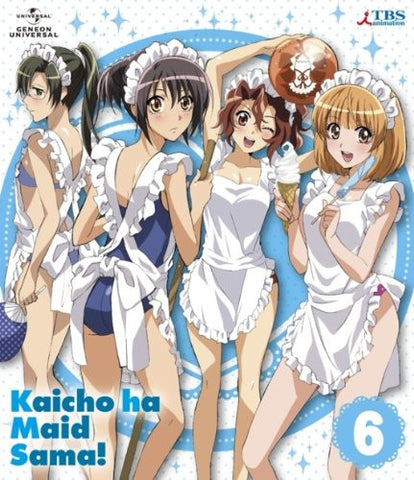 Maid Sama! 6