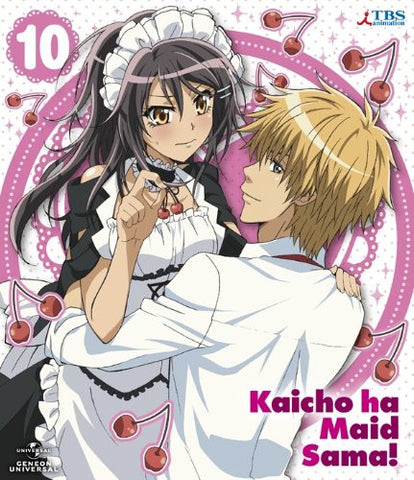 Maid Sama! 10