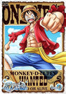 One Piece 15th Season Gyojinto Hen Piece.1