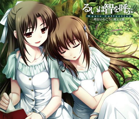 Rui wa Tomo wo Yobu Music Collection -Ashita no Mukou ni Mieru Kaze-