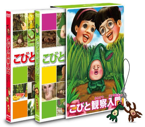 Kobito Kansatsu Nyumon Mamori Kabuto Box [Limited Edition]