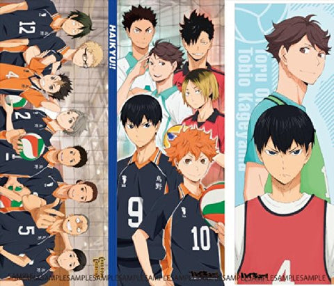 Haikyuu!! - Oikawa Tooru - Kageyama Tobio - Chara-Pos Collection - Poster (Ensky)