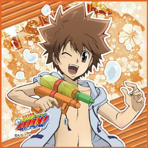 Katekyou Hitman REBORN! - Sawada Tsunayoshi - Mini Towel - Towel - Beach Hen (Broccoli)