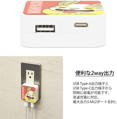 Pokémon - Wanpachi - USB/USB Type-C AC Adaptor (Pokémon Center)