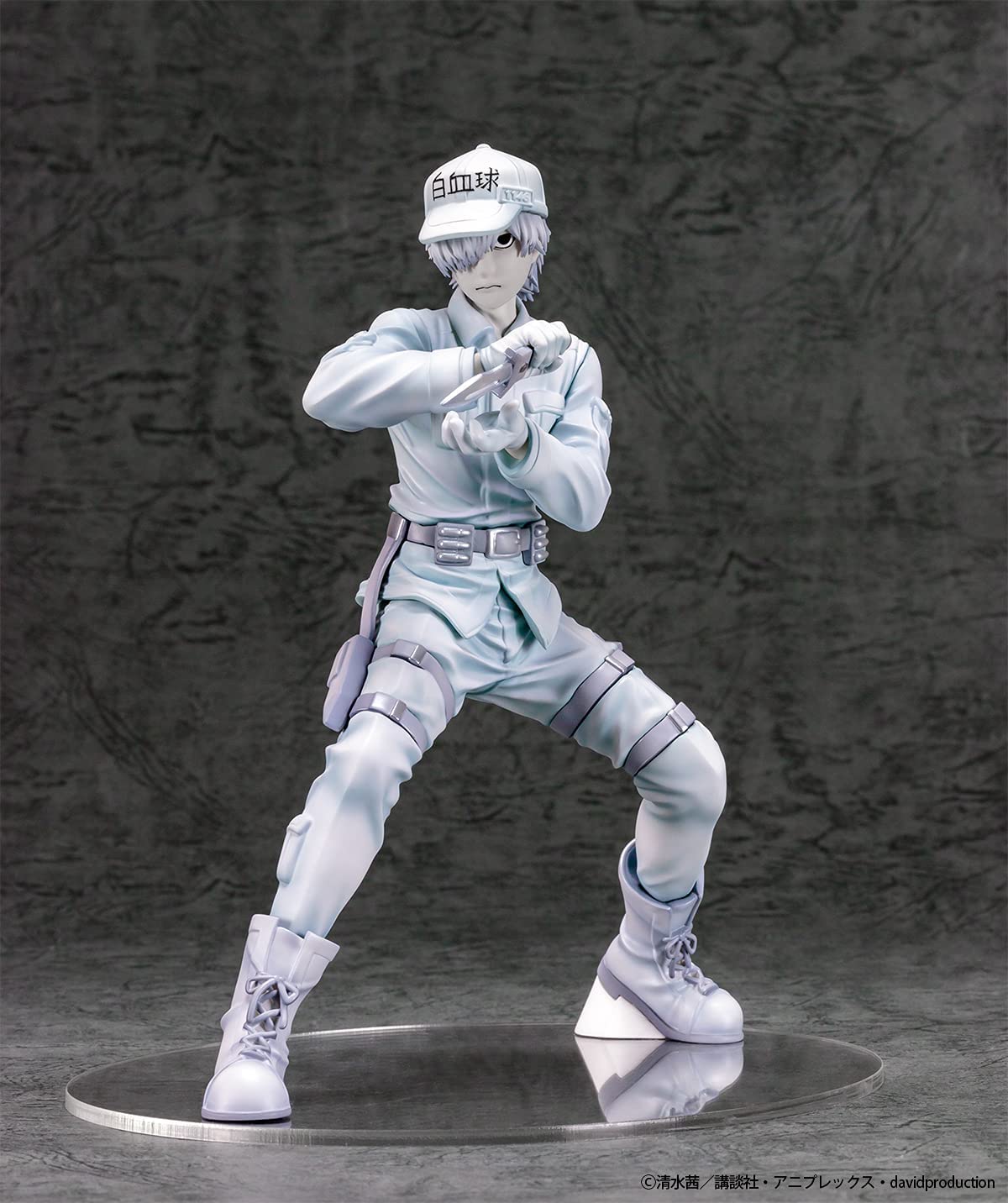 人気特価激安 U-1146 - Saibou Hataraku (B'full) Japan Solaris - 遊戯王OCG デュエルモンスターズ