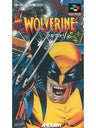 Wolverine: Adamantium Rage