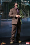 Movie Masterpiece - The Avengers 1/6 Scale Figure: Bruce Banner　