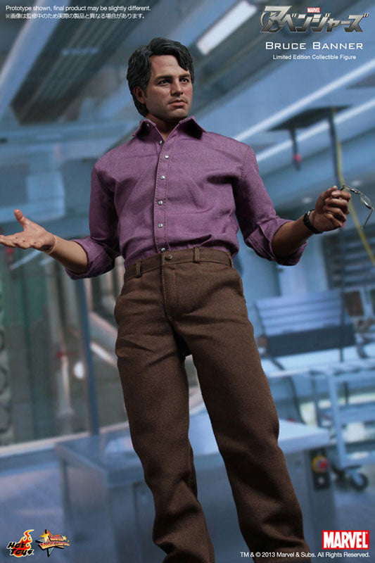 Movie Masterpiece - The Avengers 1/6 Scale Figure: Bruce Banner　