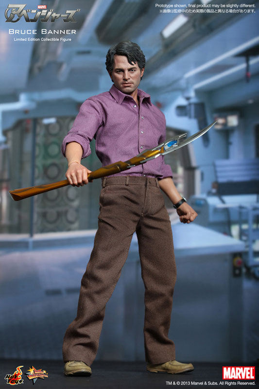 Movie Masterpiece - The Avengers 1/6 Scale Figure: Bruce Banner　