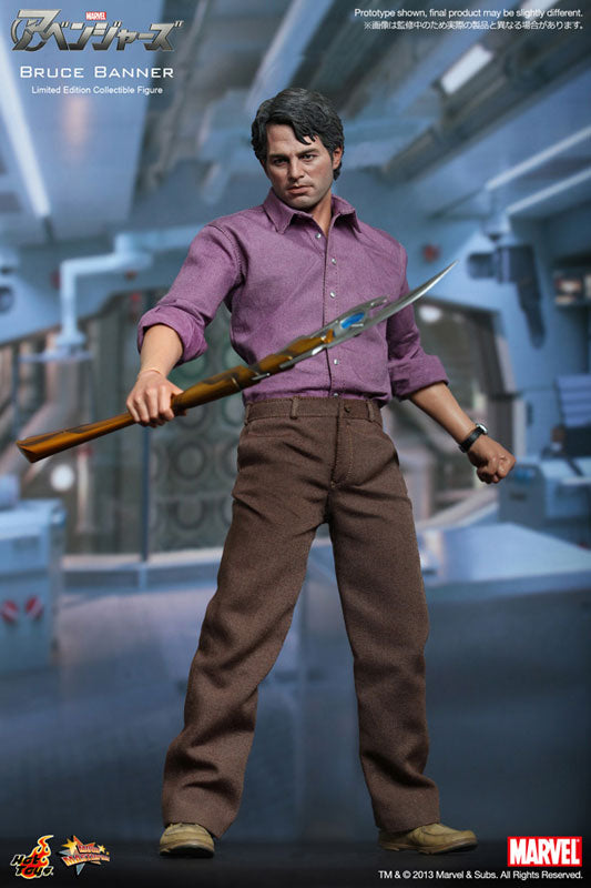 Movie Masterpiece - The Avengers 1/6 Scale Figure: Bruce Banner　