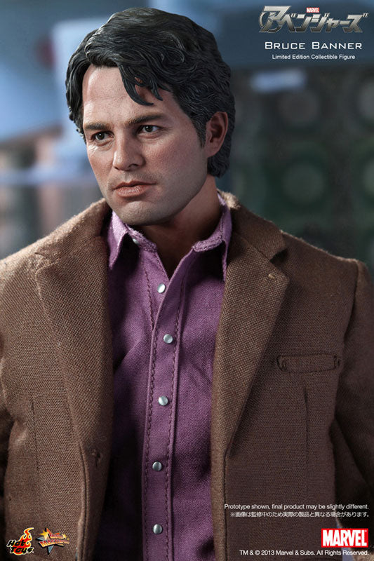 Movie Masterpiece - The Avengers 1/6 Scale Figure: Bruce Banner　